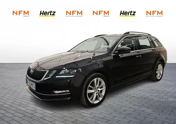 skoda octavia Skoda Octavia cena 77500 przebieg: 116142, rok produkcji 2019 z Czerwieńsk